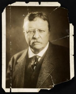 Theodore Roosevelt, head-and-shoulders portrait, facing front LCCN2013650899
