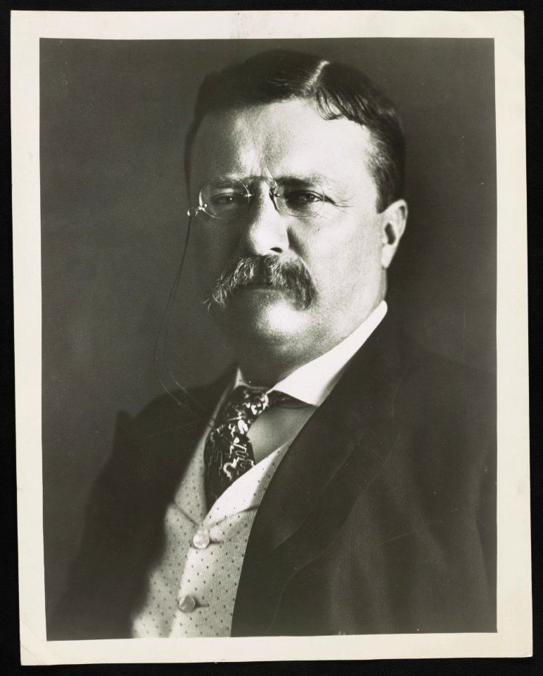 Theodore Roosevelt, head-and-shoulders portrait, facing front LCCN2013650921