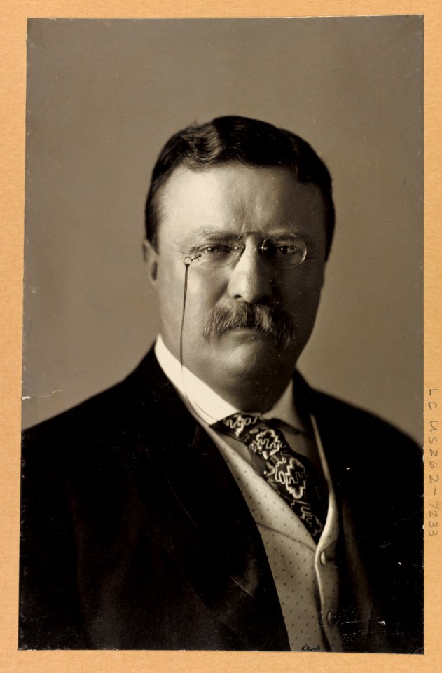 Theodore Roosevelt, head-and-shoulders portrait, facing front LCCN96522627