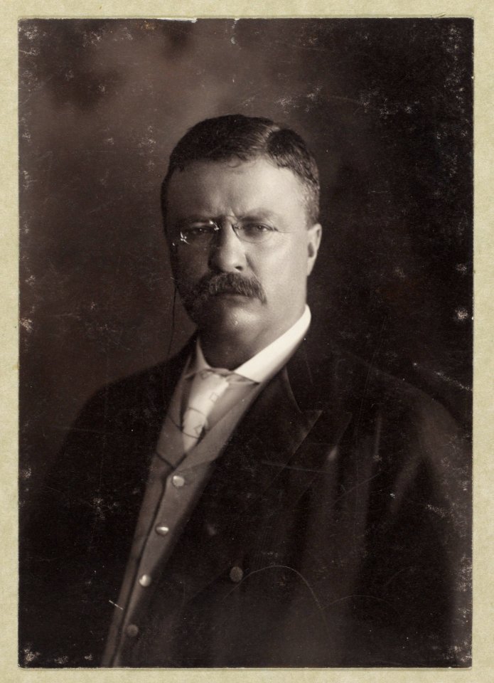 Theodore Roosevelt, head-and-shoulders portrait, facing front LCCN2001697089