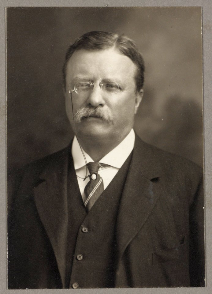 Theodore Roosevelt, head-and-shoulders portrait, facing front) - Pach Bros LCCN2013648187