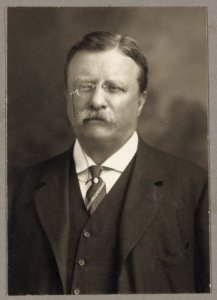 Theodore Roosevelt, head-and-shoulders portrait, facing front) - Pach Bros LCCN2013648187