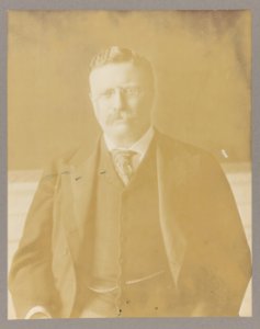 Theodore Roosevelt, head-and-shoulders portrait, facing front LCCN2013648191