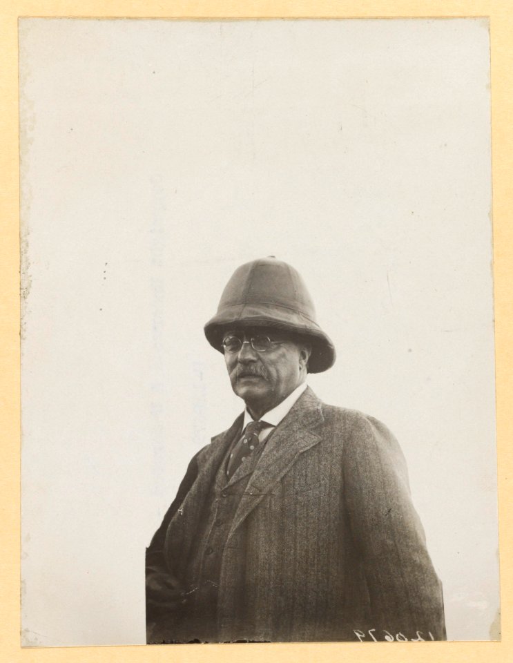 Theodore Roosevelt, head-and-shoulders portrait, facing left LCCN2001697291