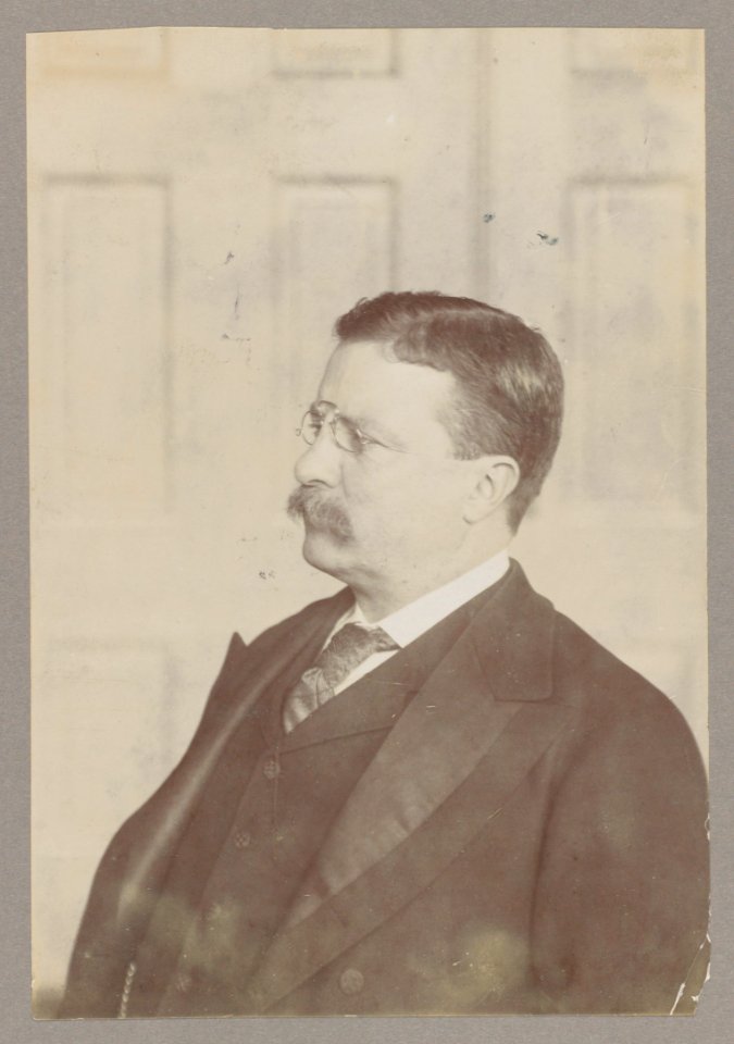 Theodore Roosevelt, head-and-shoulders portrait, facing left LCCN2013649550