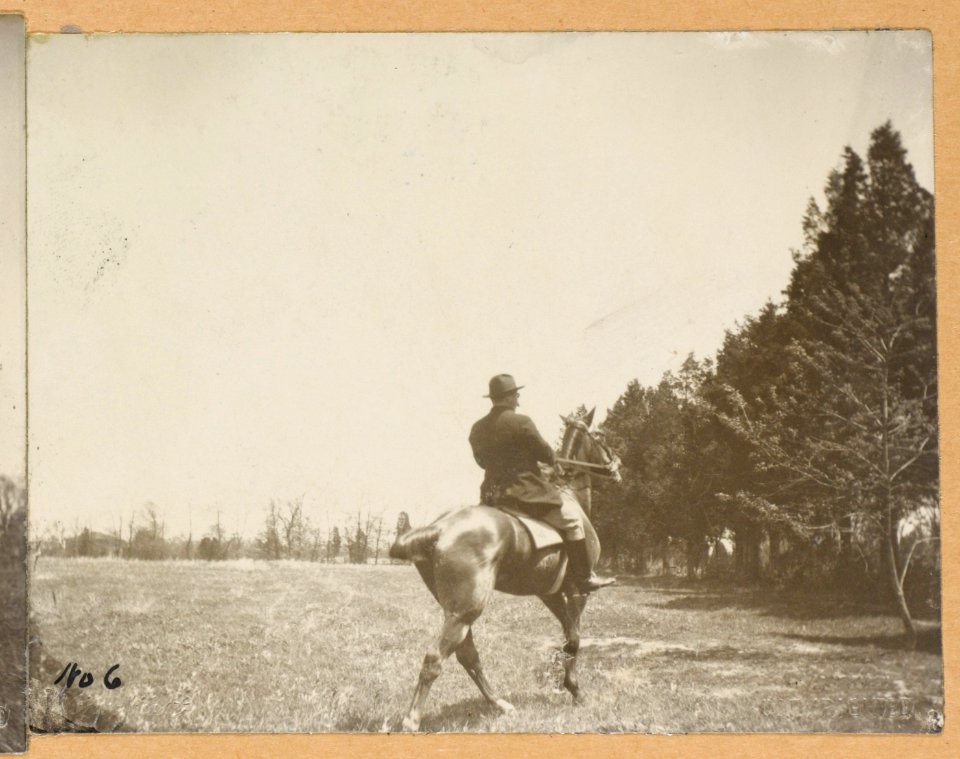 Theodore Roosevelt, on horseback, rear view LCCN99471936