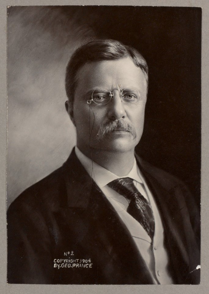 Theodore Roosevelt, head-and-shoulders portrait, facing front LCCN2013649834