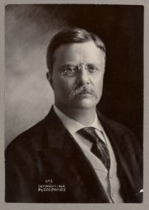 Theodore Roosevelt, head-and-shoulders portrait, facing front LCCN2013649834