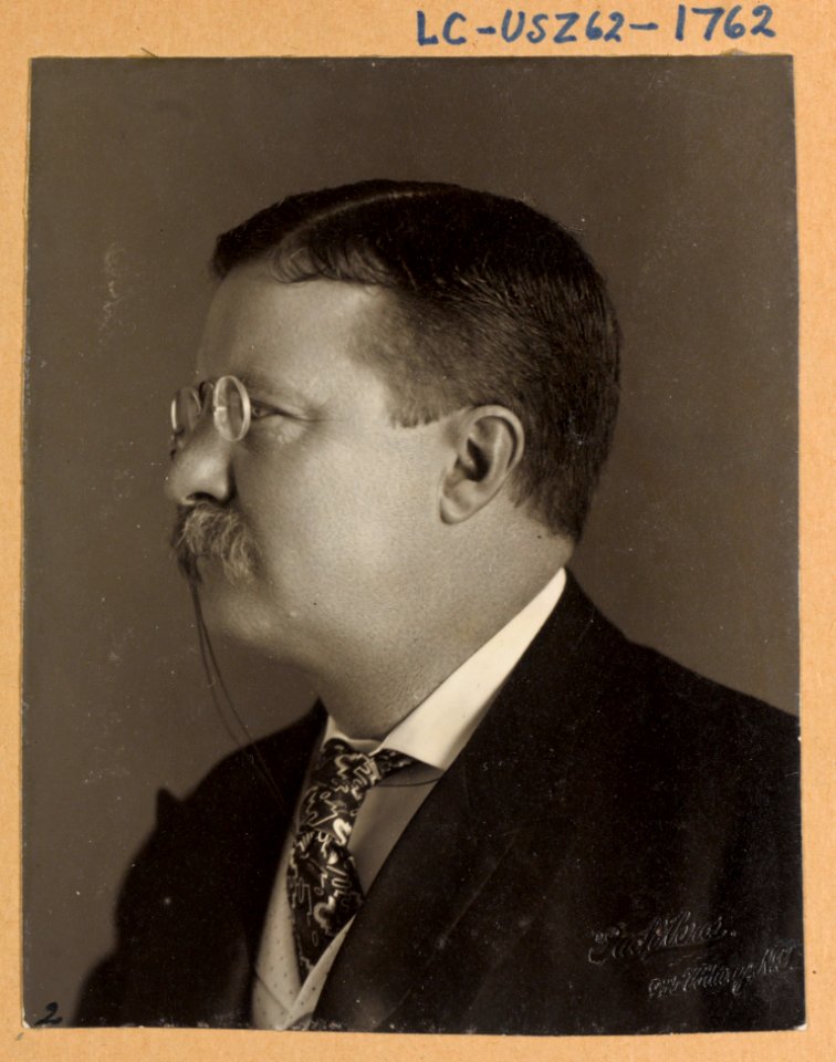 Theodore Roosevelt, head-and-shoulders portrait, facing left) - Pach Bros., 935 Bdwy, N.Y LCCN2009633162
