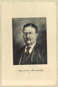 Theodore Roosevelt, head-and-shoulders portrait, facing slightly left LCCN2013649844