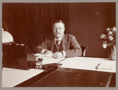 Theodore Roosevelt, head-and-shoulders portrait, seated at desk, facing front LCCN2001697273