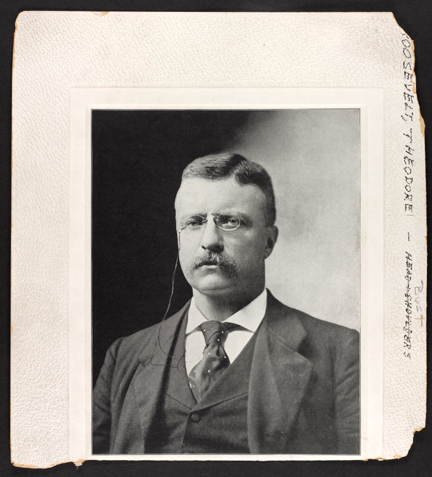 Theodore Roosevelt, head-and-shoulders portrait, facing front LCCN96502378