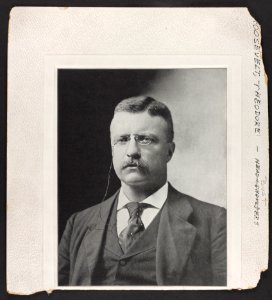 Theodore Roosevelt, head-and-shoulders portrait, facing front LCCN96502378