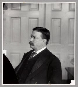 Theodore Roosevelt, head-and-shoulders portrait, turned left LCCN2013649839