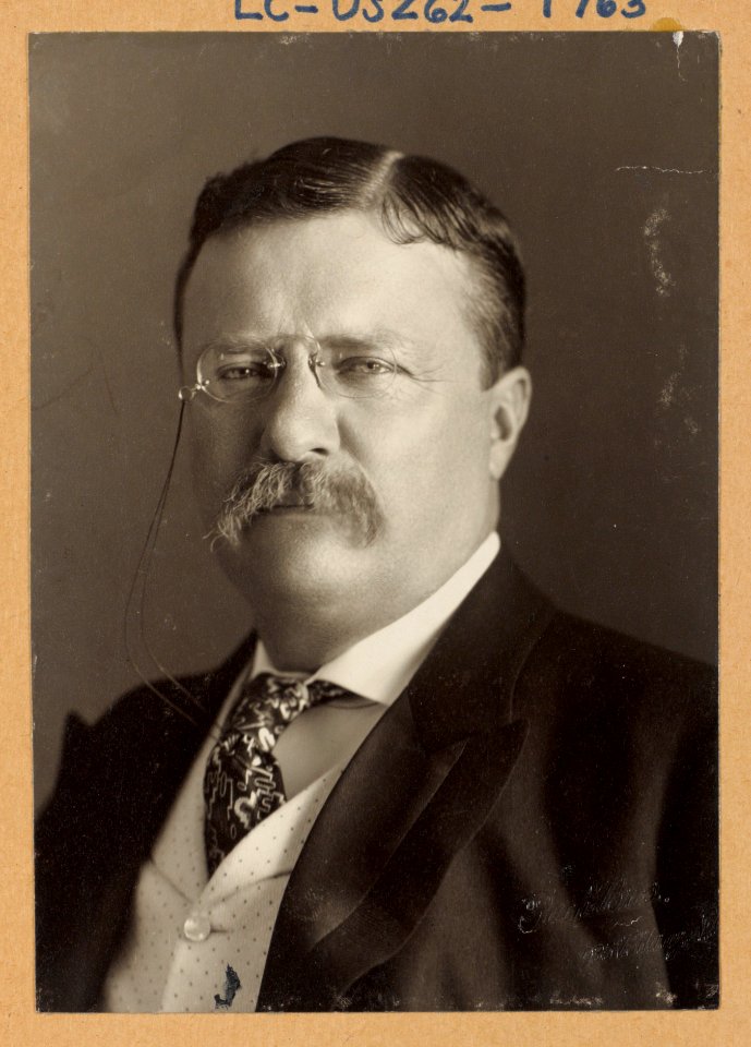 Theodore Roosevelt, head-and-shoulders portrait, facing front) - Pach Bros., 935 Bdwy, N.Y LCCN2009633163