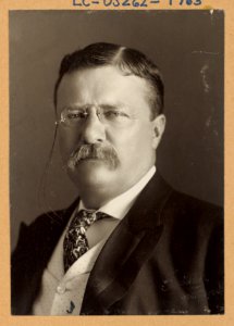 Theodore Roosevelt, head-and-shoulders portrait, facing front) - Pach Bros., 935 Bdwy, N.Y LCCN2009633163