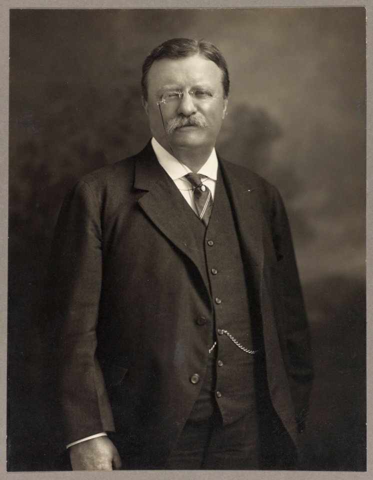 Theodore Roosevelt, half-length portrait, standing, facing front LCCN2013649821