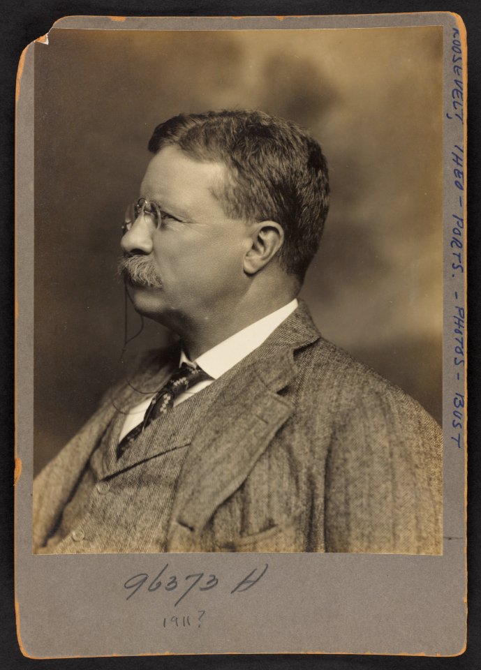 Theodore Roosevelt, head-and-shoulders portrait, facing left LCCN2013648195