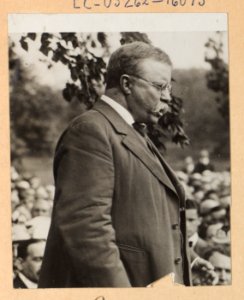 Theodore Roosevelt, in profile, addressing a crowd LCCN2009633785