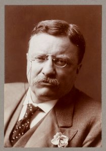 Theodore Roosevelt, Pres., head and shoulders portrait LCCN2013649807