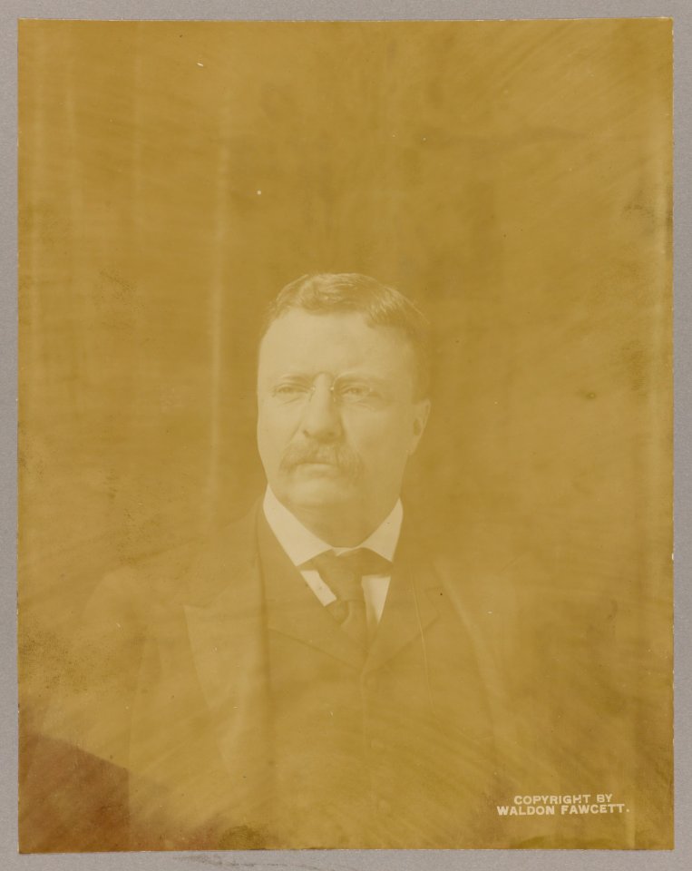 Theodore Roosevelt, head-and-shoulders portrait, facing right LCCN2013649815