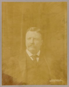 Theodore Roosevelt, head-and-shoulders portrait, facing right LCCN2013649815