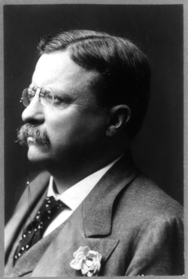 Theodore Roosevelt, head-and-shoulders portrait, turned left LCCN2004682120