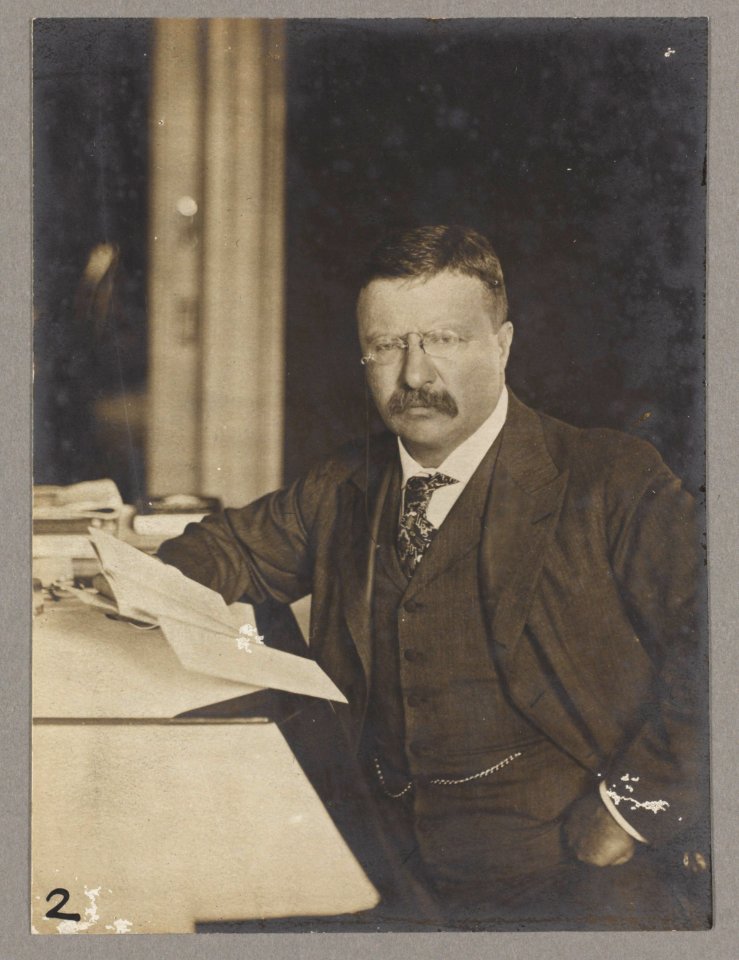 Theodore Roosevelt, seated at his desk, holding papers LCCN2013649627