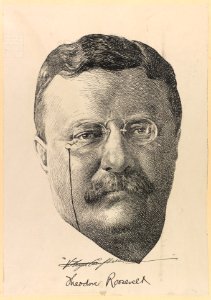 Theodore Roosevelt, portrait of head, full face view LCCN2013650555