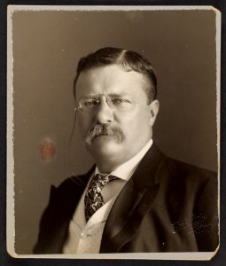 Theodore Roosevelt, Pres. U.S., 1858-1919 LCCN2002718198