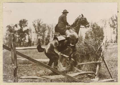 Theodore Roosevelt, side view, on horseback jumping over fence LCCN2013649644