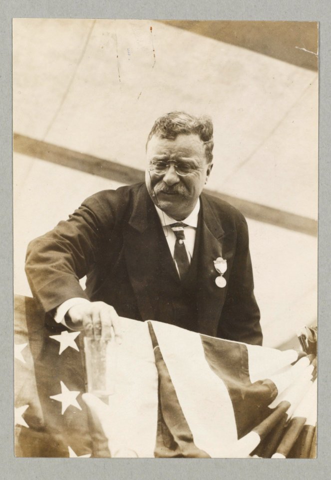 Theodore Roosevelt, leaning over flag-draped railing LCCN2005677955