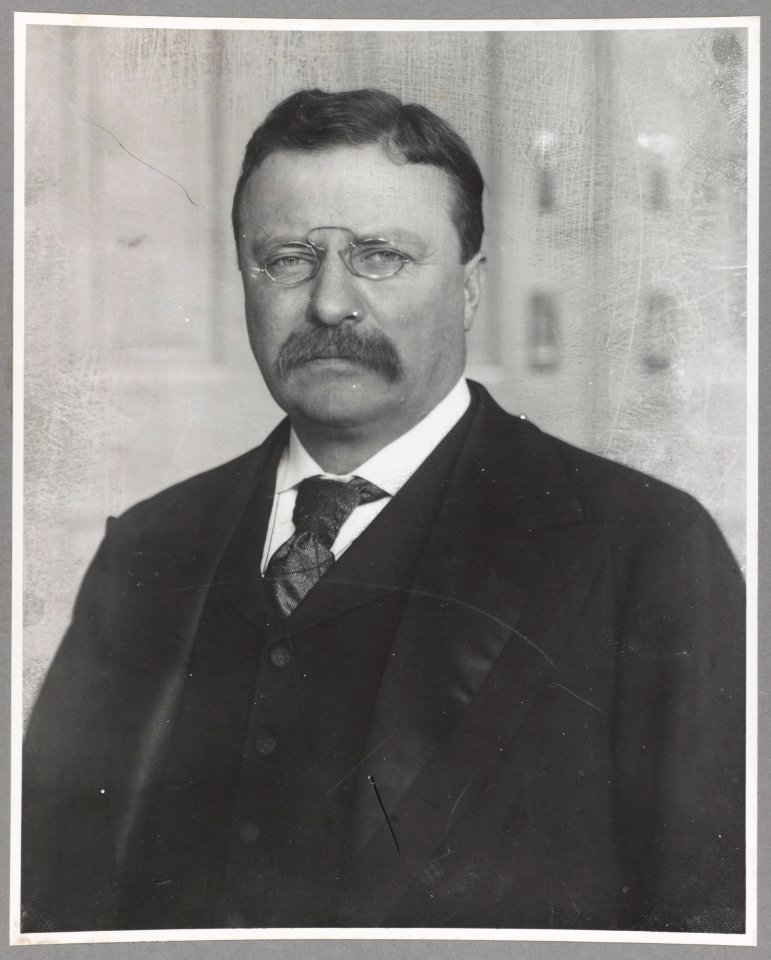 Theodore Roosevelt, Pres., head and shoulders portrait, facing left LCCN2013649813