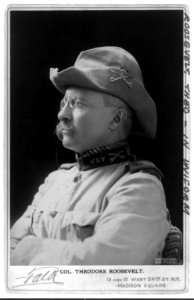 Theodore Roosevelt, Pres. U.S. LCCN2003690403
