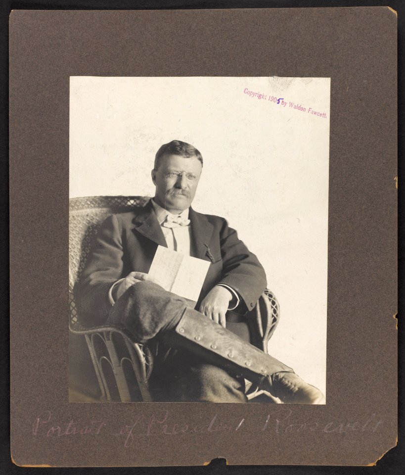 Theodore Roosevelt, three quarter-length portrait, holding reading letter, legs crossed LCCN2013649577