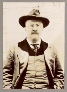 Theodore Roosevelt, Pres., half-length portrait, facing front LCCN2013649810