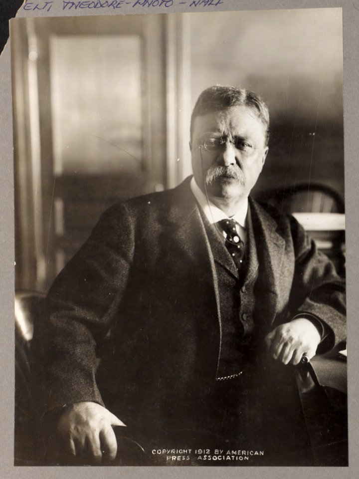 Theodore Roosevelt, seated, leaning on desk, facing front LCCN2013649556
