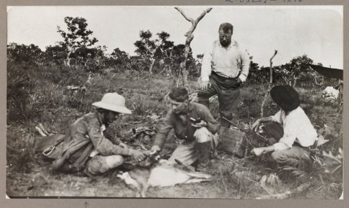 Theodore Roosevelt, Kermit Roosevelt & the naturalists LCCN2010645472