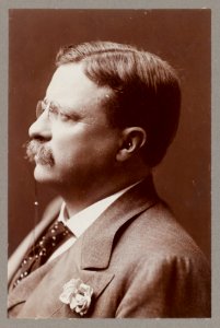 Theodore Roosevelt, Pres., head-and-shoulders portrait, facing left LCCN2013649816