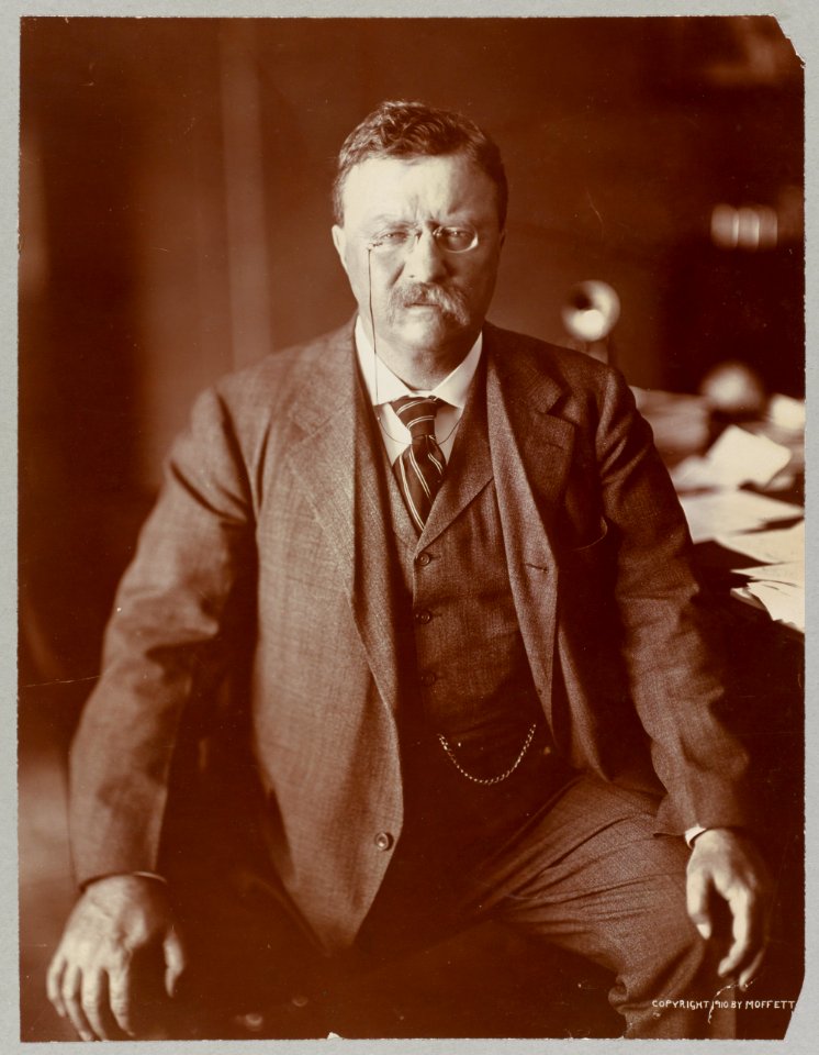 Theodore Roosevelt, three-quarter length portrait, seated, facing front LCCN2001697270