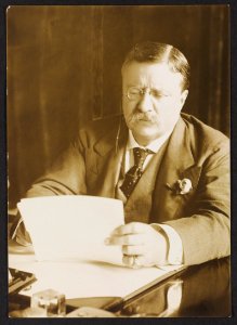 Theodore Roosevelt, seated at desk, reading LCCN2013649634