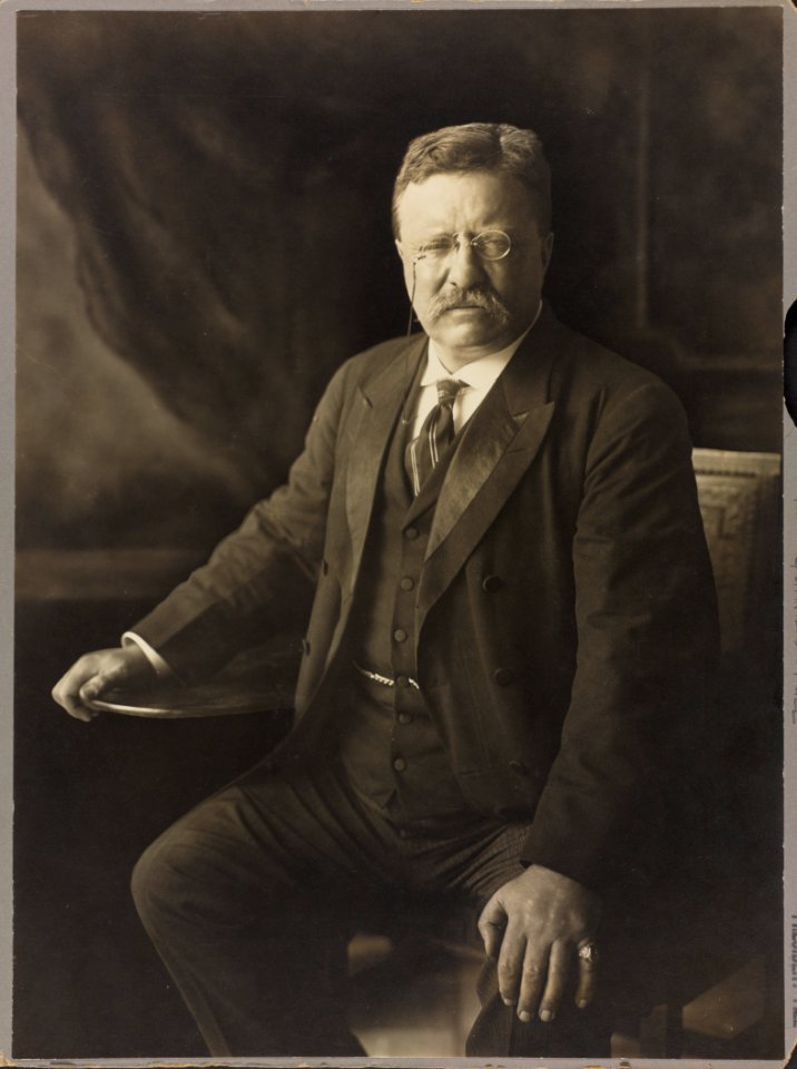 Theodore Roosevelt, three-quarter length portrait, seated, facing front LCCN98507038