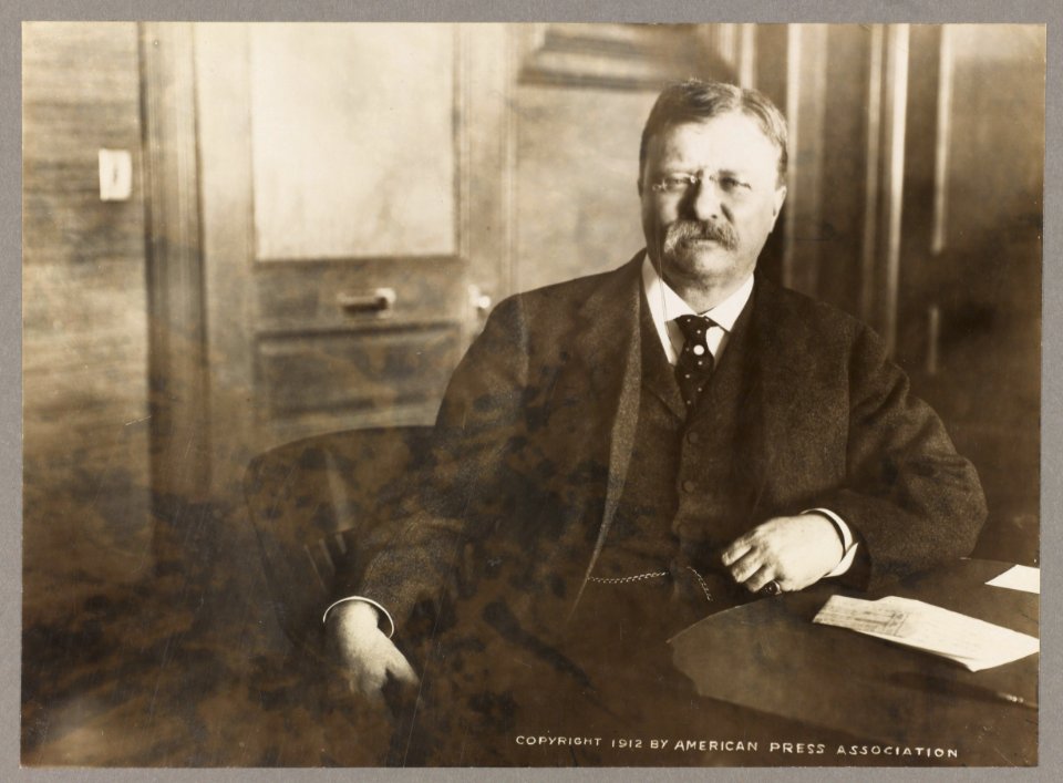 Theodore Roosevelt, seated, leaning on desk, facing front LCCN2013649635