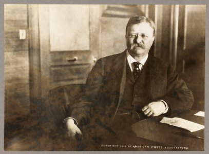 Theodore Roosevelt, seated, leaning on desk, facing front LCCN2013649635