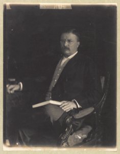 Theodore Roosevelt, three-quarter length portrait, seated, facing left, holding book in lap LCCN2013649585