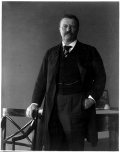 Theodore Roosevelt, Pres. U.S., 1858-1919 LCCN2002710496
