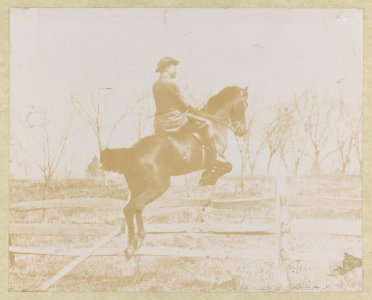 Theodore Roosevelt, side view, on horseback jumping over fence LCCN2013650850