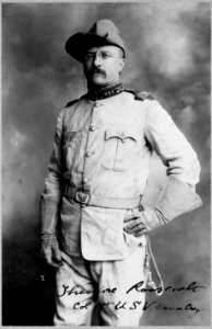 Theodore Roosevelt, three-quarter length portrait, standing, facing left, in uniform LCCN92520593