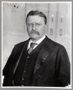 Theodore Roosevelt, Pres., half-length portrait, facing left LCCN2013649814