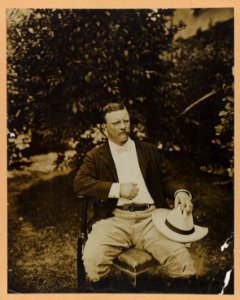 Theodore Roosevelt, three-quarter length portrait, outdoors, seated in a chair, facing right LCCN2013649573